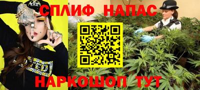 спиды Ливны