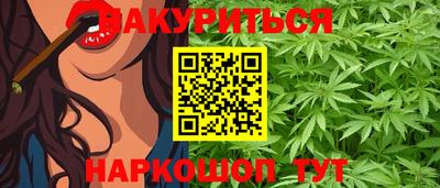 крисы Лесосибирск