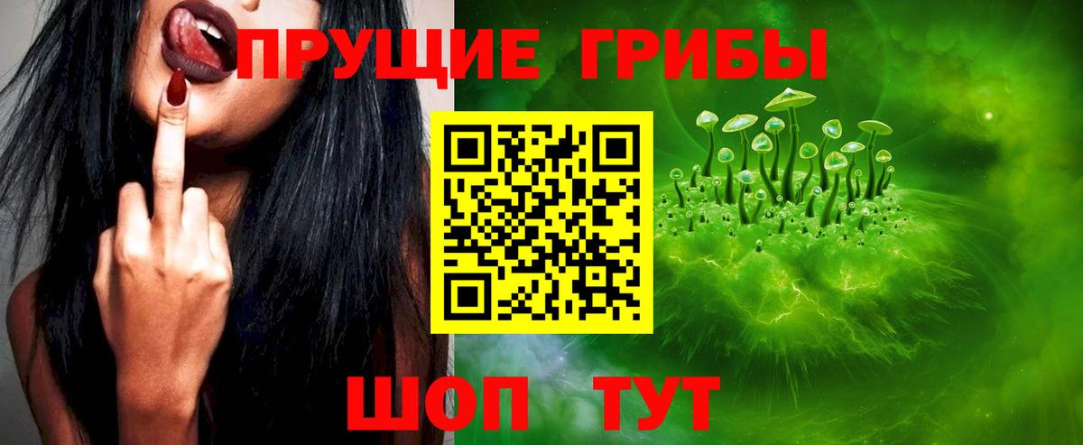 Хабаровск  Галлюциногенные грибы мицелий  Вход с VPN  Псилоцибиновые грибы GOLDEN TEACHER 